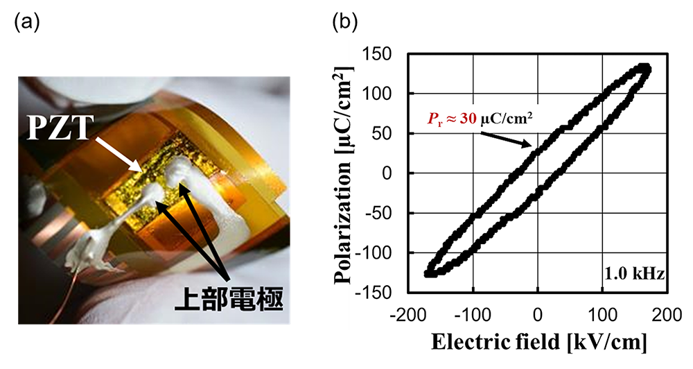 (a)フレキシブルなポリイミドシートに転写した PZT エピタキシャル薄膜の概観。
(b) (a)で示した試料の P E ヒステリシス曲線。